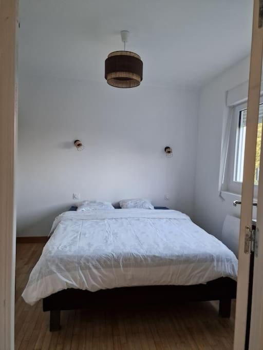 Ness'house * Tregueux